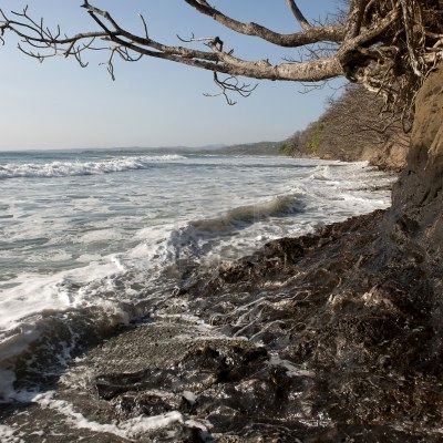 ECOSISTEMAS DE COSTA RICA: COSTA ROCOSA