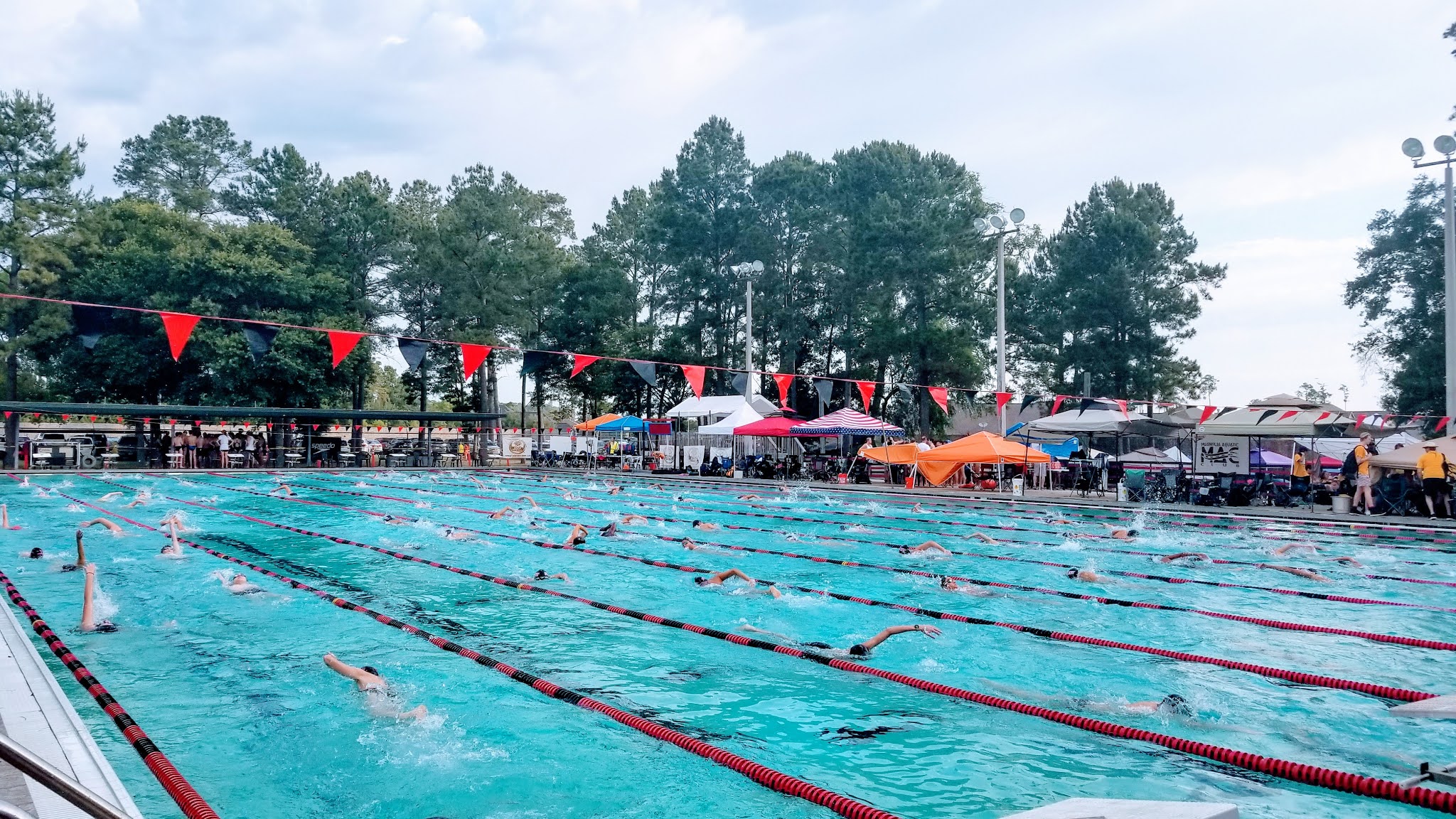 Swim Meets (3): Prelims/Finals Meet