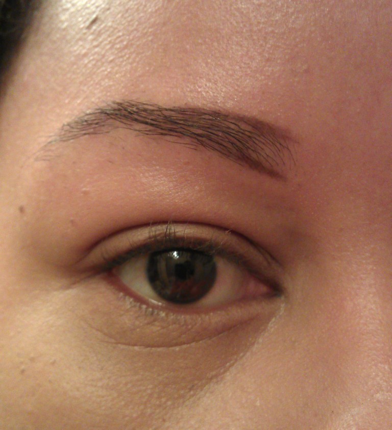 Brow Inner Up Eyebrows 101 - Hey Trina