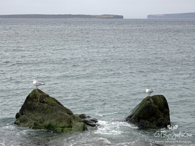 Seagulls On Topsail Beach