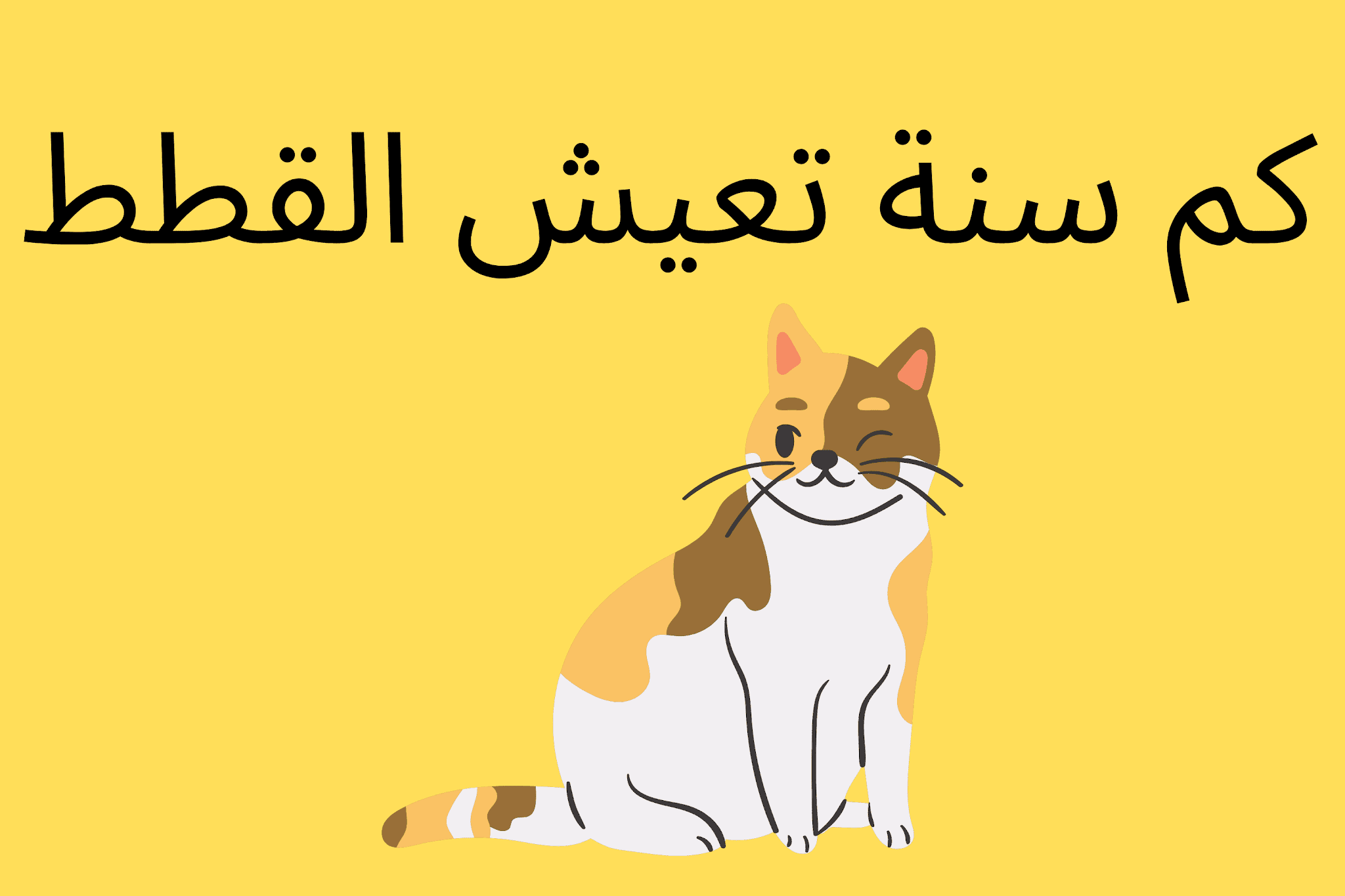 كم عدد اسنان القط