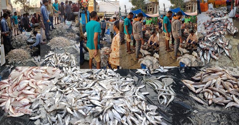 Raghu's column! Ramnagar Fish Market Our City’s Largest Fish Market!