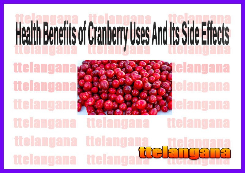 Health Benefits of Cranberry Uses And Its Side Effects