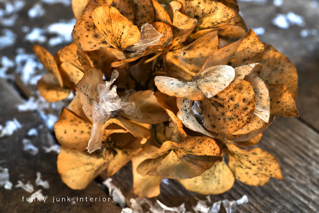 Christmas inspiration... from a mouldy hydrangea. via Funky Junk Interiors Christmas inspiration... from a mouldy hydrangea. via Funky Junk Interiors