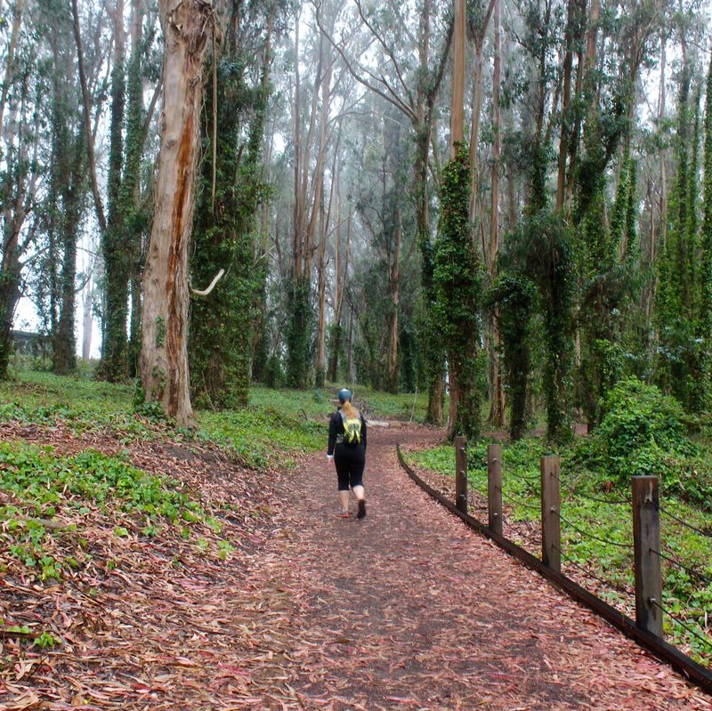 Two Great Hiking Loops From the Presidio Main Post