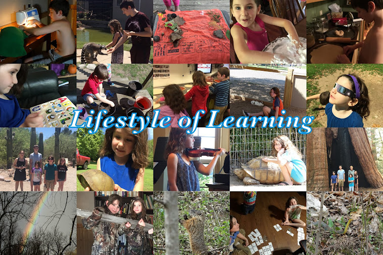 Lifestyle of Learning