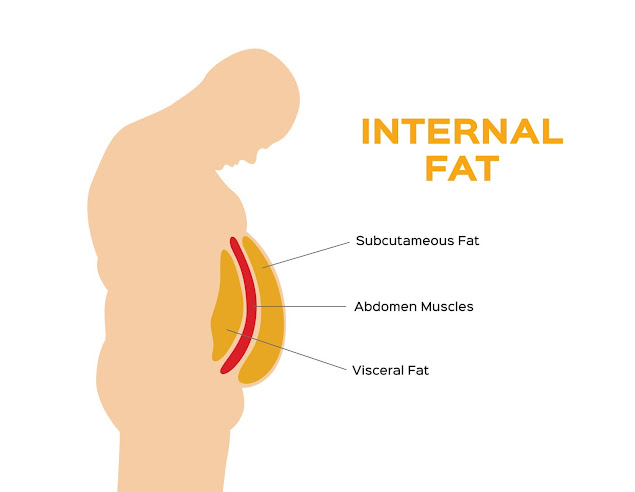 Targeting Visceral Fat