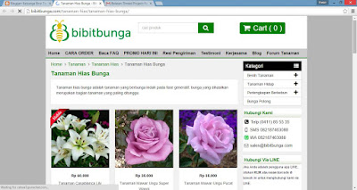 bibitbunga.com