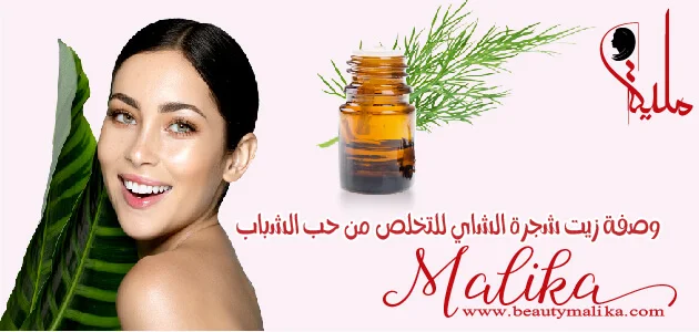 وصفة زيت شجرة الشاي ( لإزالة آثار حب الشباب ) وصفة زيت شجرة الشاي ( لإزالة آثار حب الشباب )