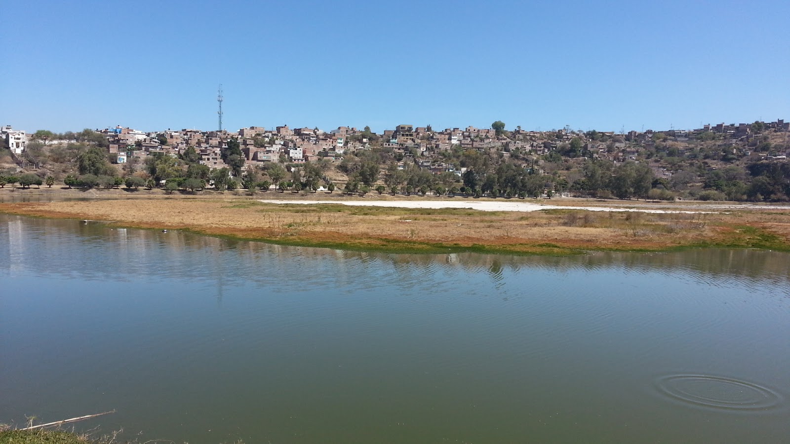 Gervacio Mendoza La Joya, Yuriria 16 fotos.