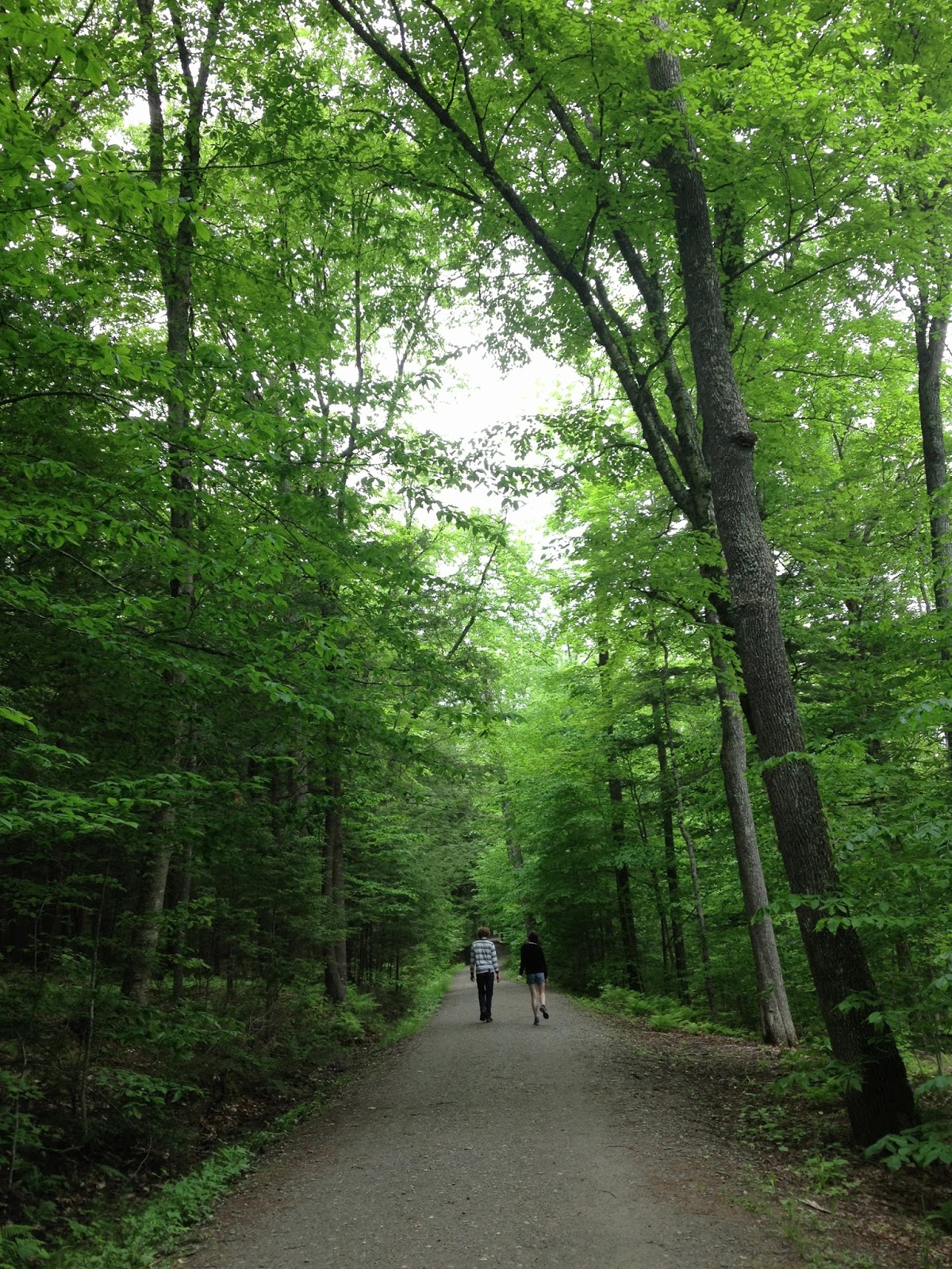 Sprouts Hiking Mt. Tom in Woodstock Vermont