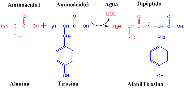 ¿Para sirven retinol, vitamina niacinamida, hialurónico otros?