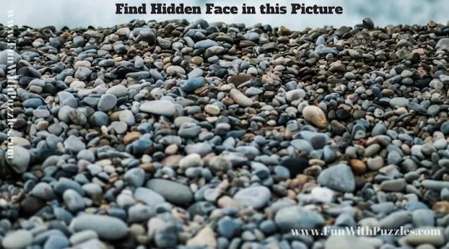 Picture Puzzle to find hidden face