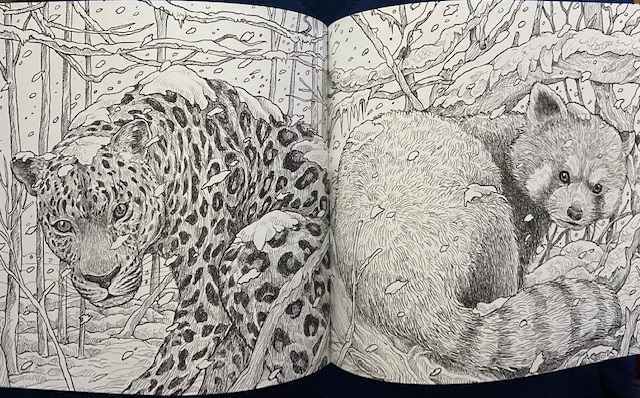 I Smell Sheep: Book Review: Fragile World Adult Coloring Book by Kerby  Rosanes + giveaway