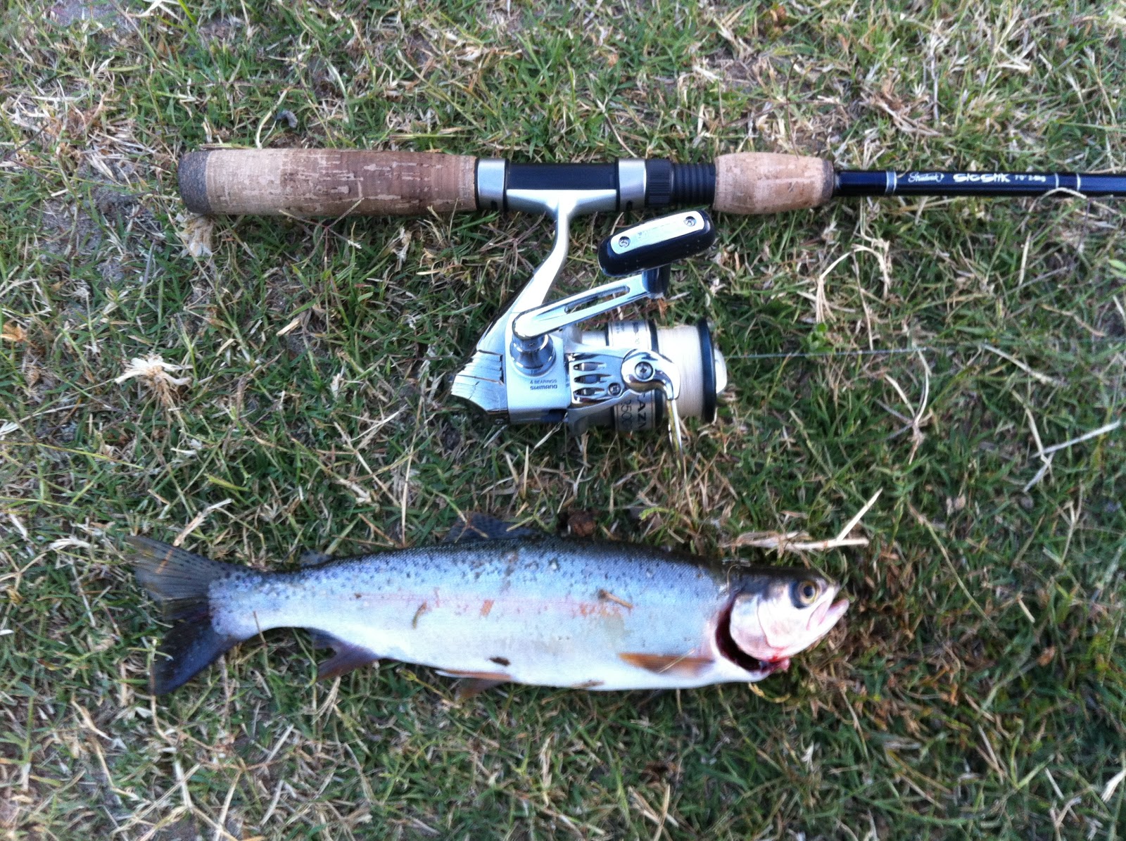 The Greenhorn Jigheads Our 'Soft Plastics' Trout Tour Review