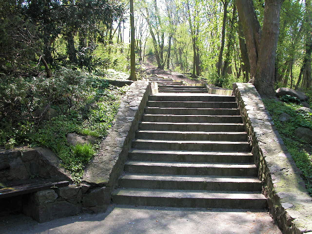 DSCN0151.JPG
