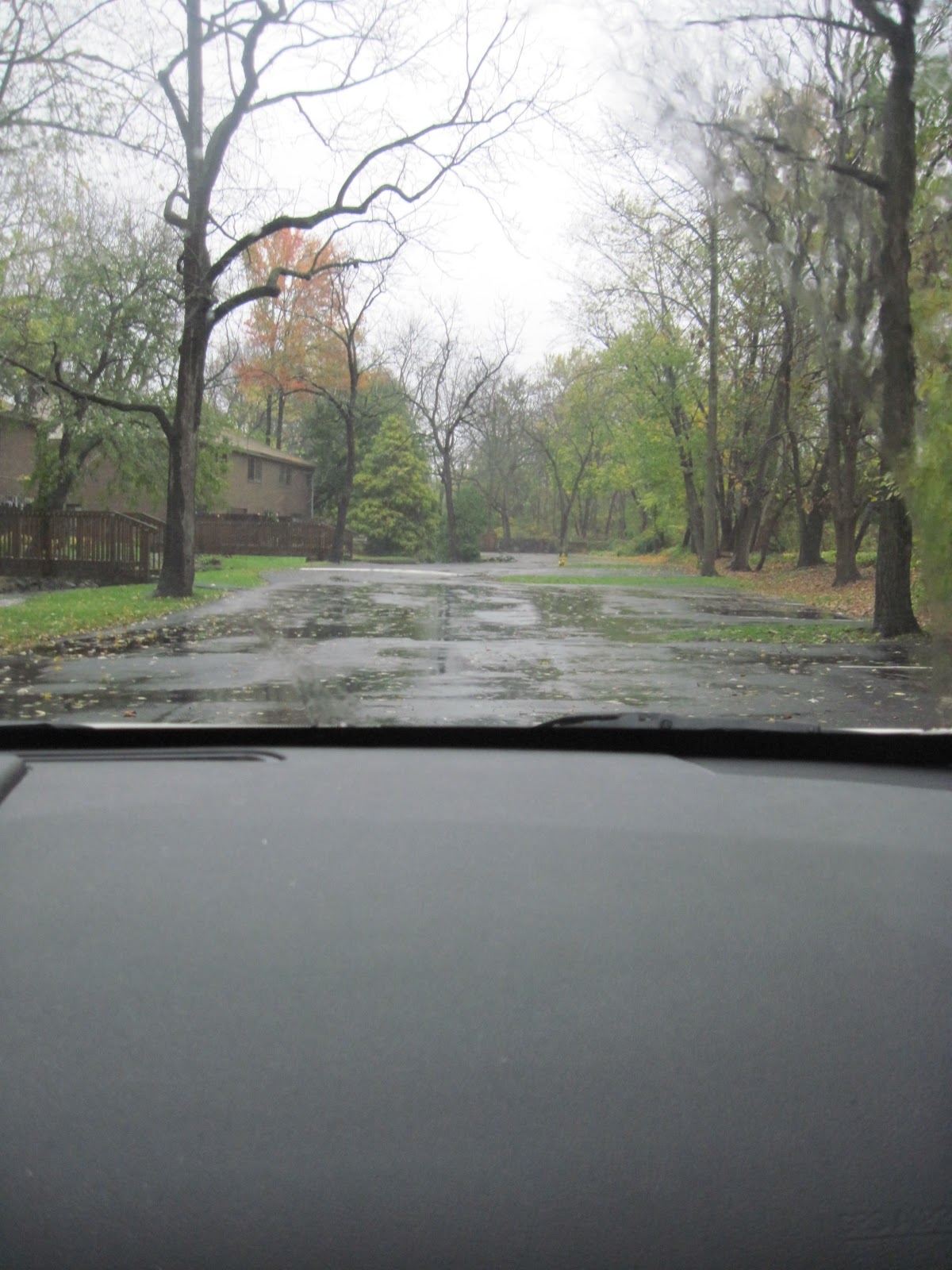 The Belle of Cowbell The Bipolar Therapist from Willow Grove, PA Stay