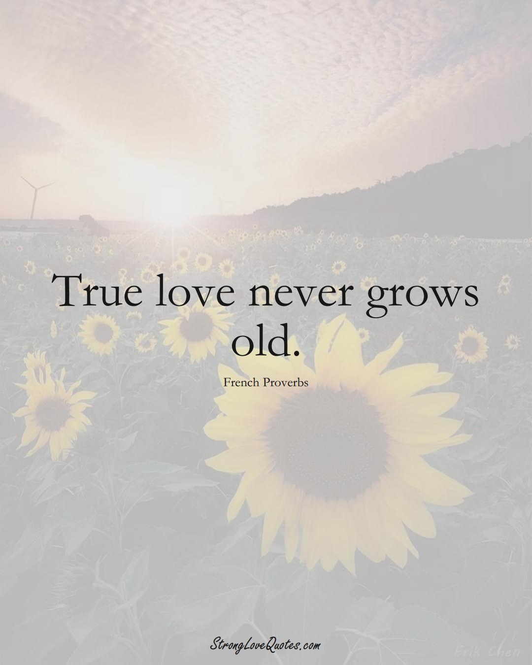 True love never grows old. (French Sayings);  #EuropeanSayings