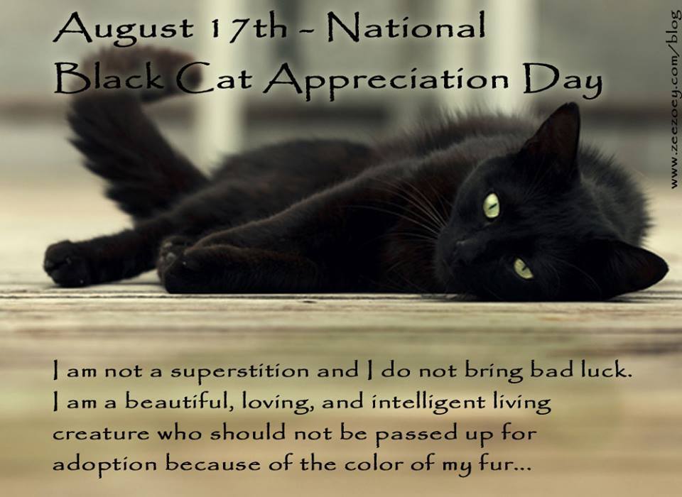 National Black Cat Appreciation Day