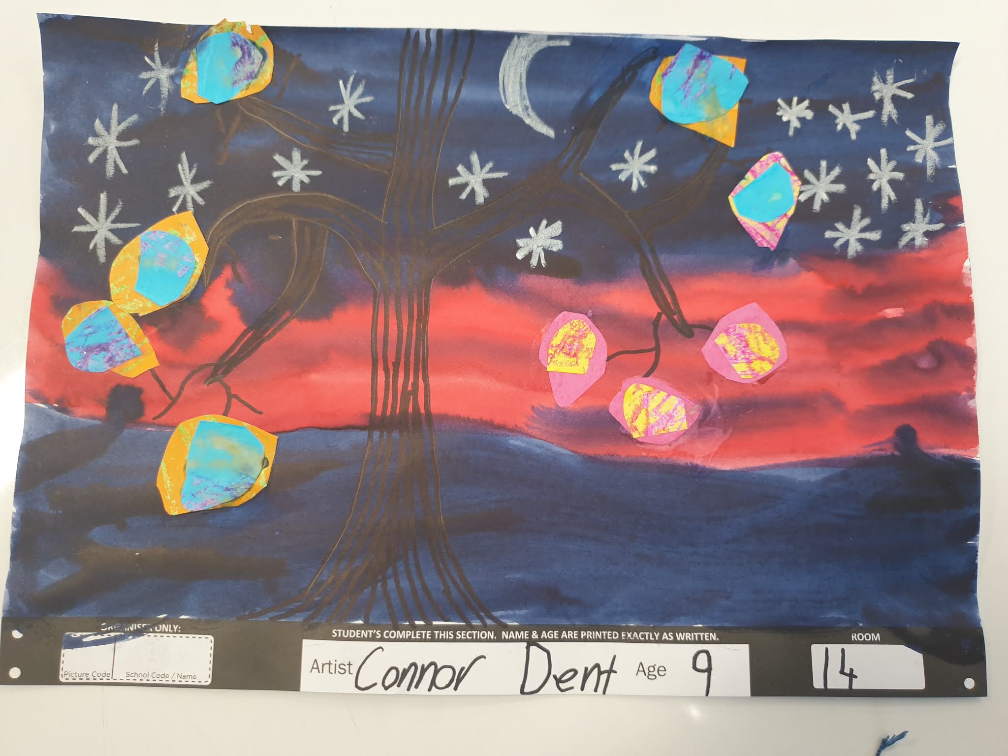 Connor s Awesome Blog connor-s-awesome-blog