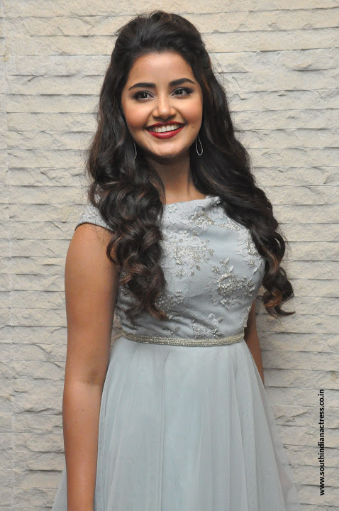 Anupama Parameswaran at Vunnadi Okate Zindagi Pre Release