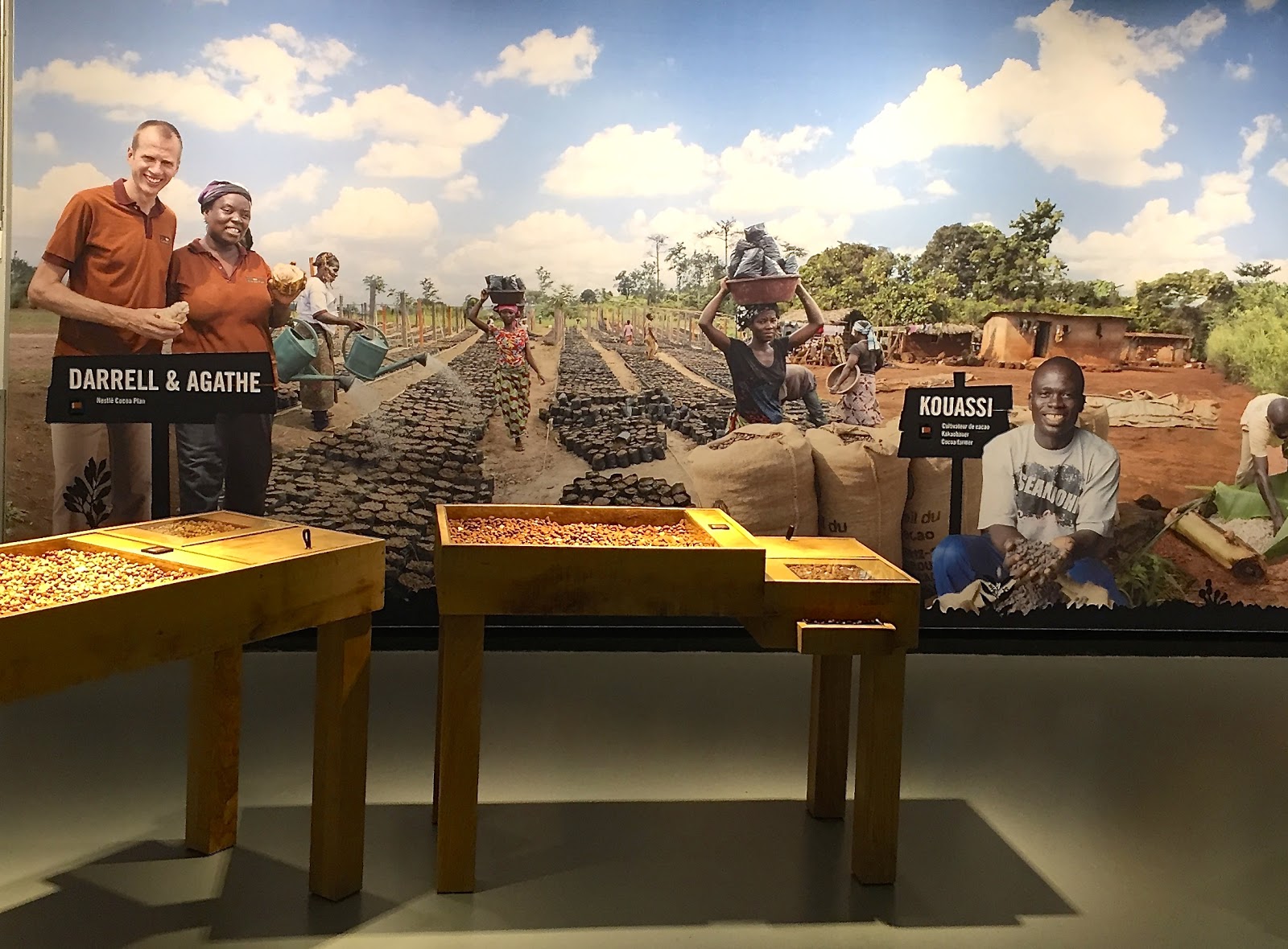 Deniz ile Devri Alem İsviçre, Çikolata ve Peynir I. İsviçre�nin ilk