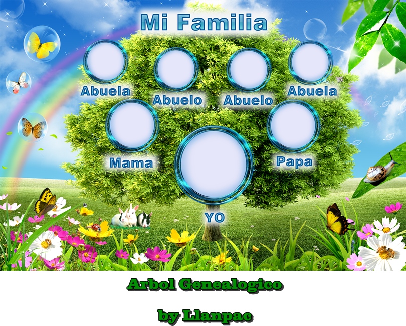 ana medina: EL ÁRBOL GENEALOGICO