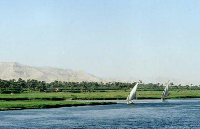 الجزر الجزر