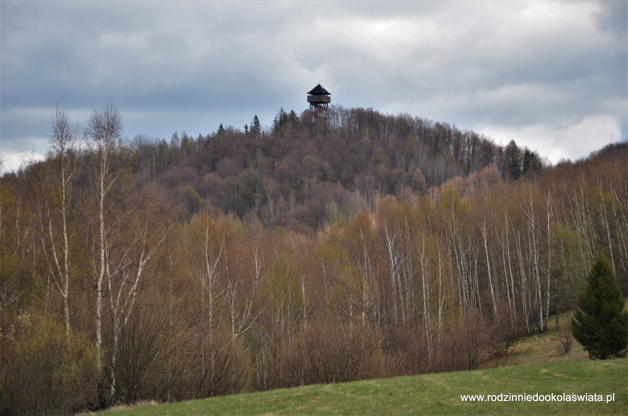 Wieża widokowa na Koziarzu z Tylmanowej Beskid Sądecki z dziećmi