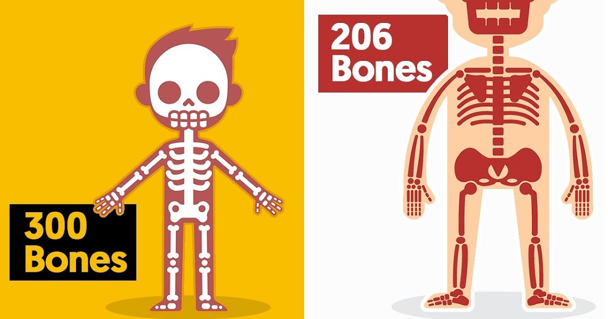 Bones, Bones and even more Bones!