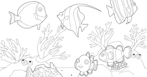 海の生き物の塗り絵 coloring book vector ぬりえ大好き!: 南の海のぬりえ