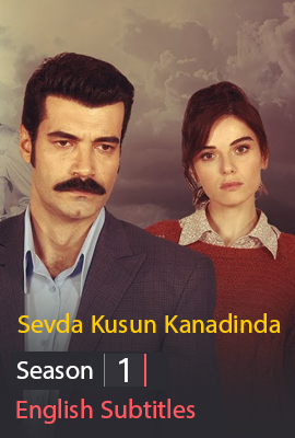 Sevda kusun kanadinda