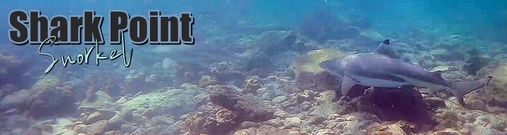 Snorkel en Shark Point, Tailandia Snorkel-Shark-Point-Phi-Phi-Tailandia