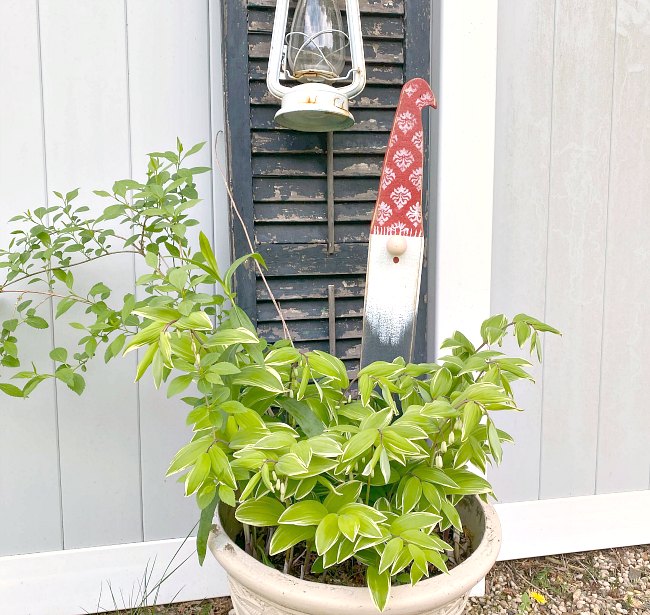 Planter with green plants and garden gnome