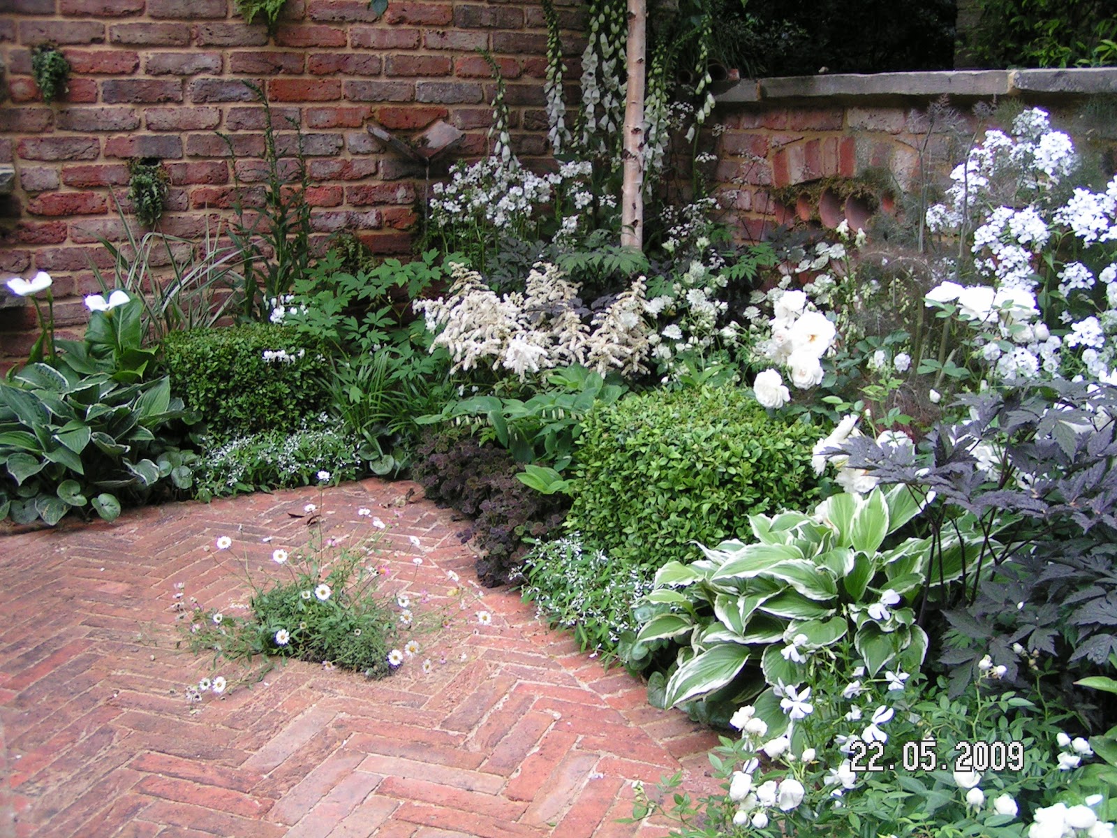 Gärtnertagebuch: März 2013