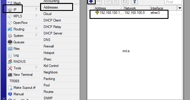 Mikrotik доменное имя