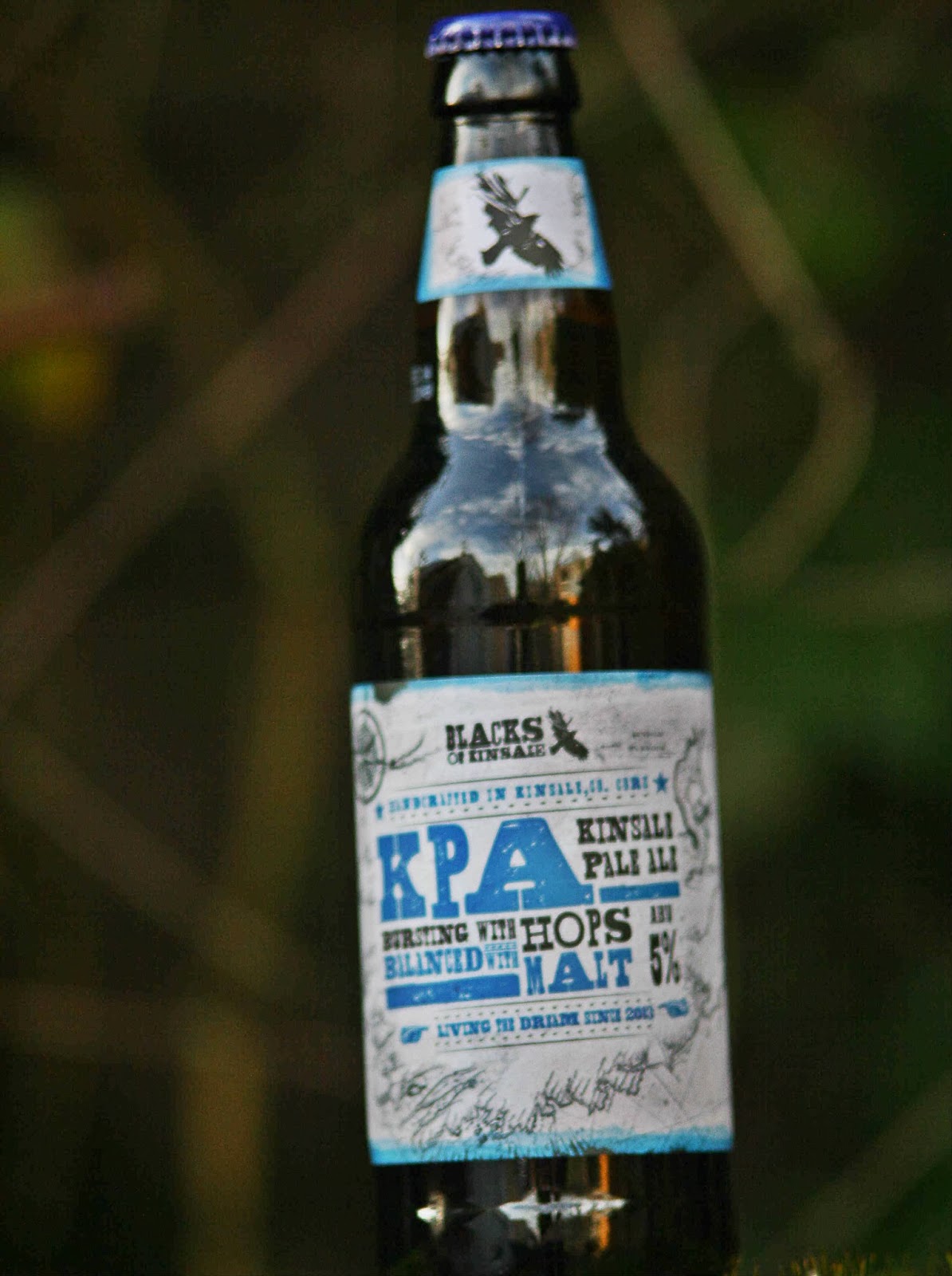 Willie's Beer Blog Irish Pale Ale Challenge SF4 I can't think of a