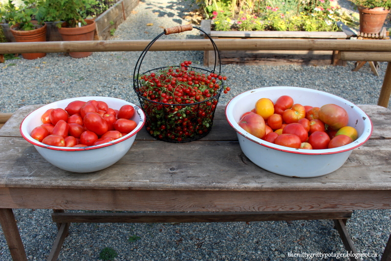 Finds! Zip Slicer for Cherry Tomatoes or Grapes! Easy and