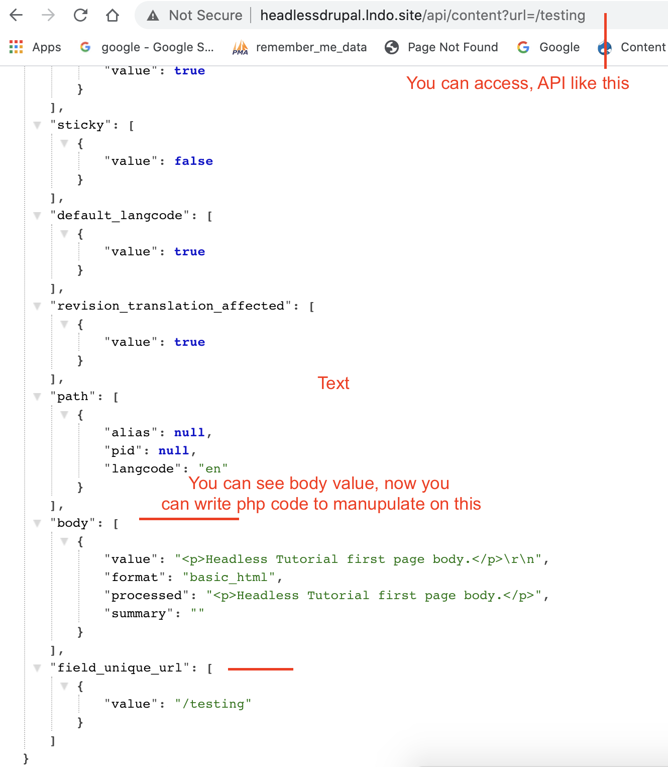 Drupal 9 Rest API response