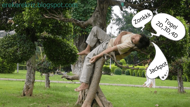 Angka Togel Mimpi Burung Elang Alap Ekor Totol 2d 3d 4d Dalam Buku Mimpi Erek Erek Angka Togel Mimpi Burung Elang Alap Ekor Totol 2d 3d 4d Dalam Buku Mimpi Erek Erek