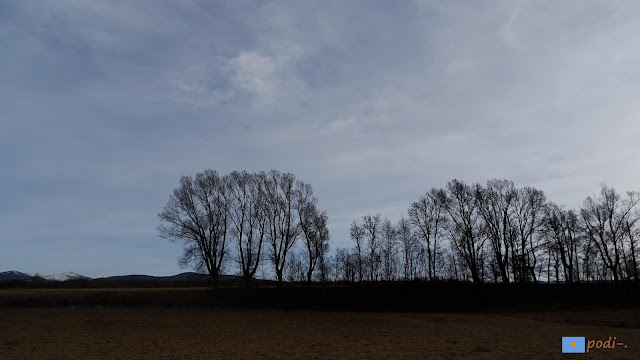 Llívia Puigcerdà Camí d'Onzés