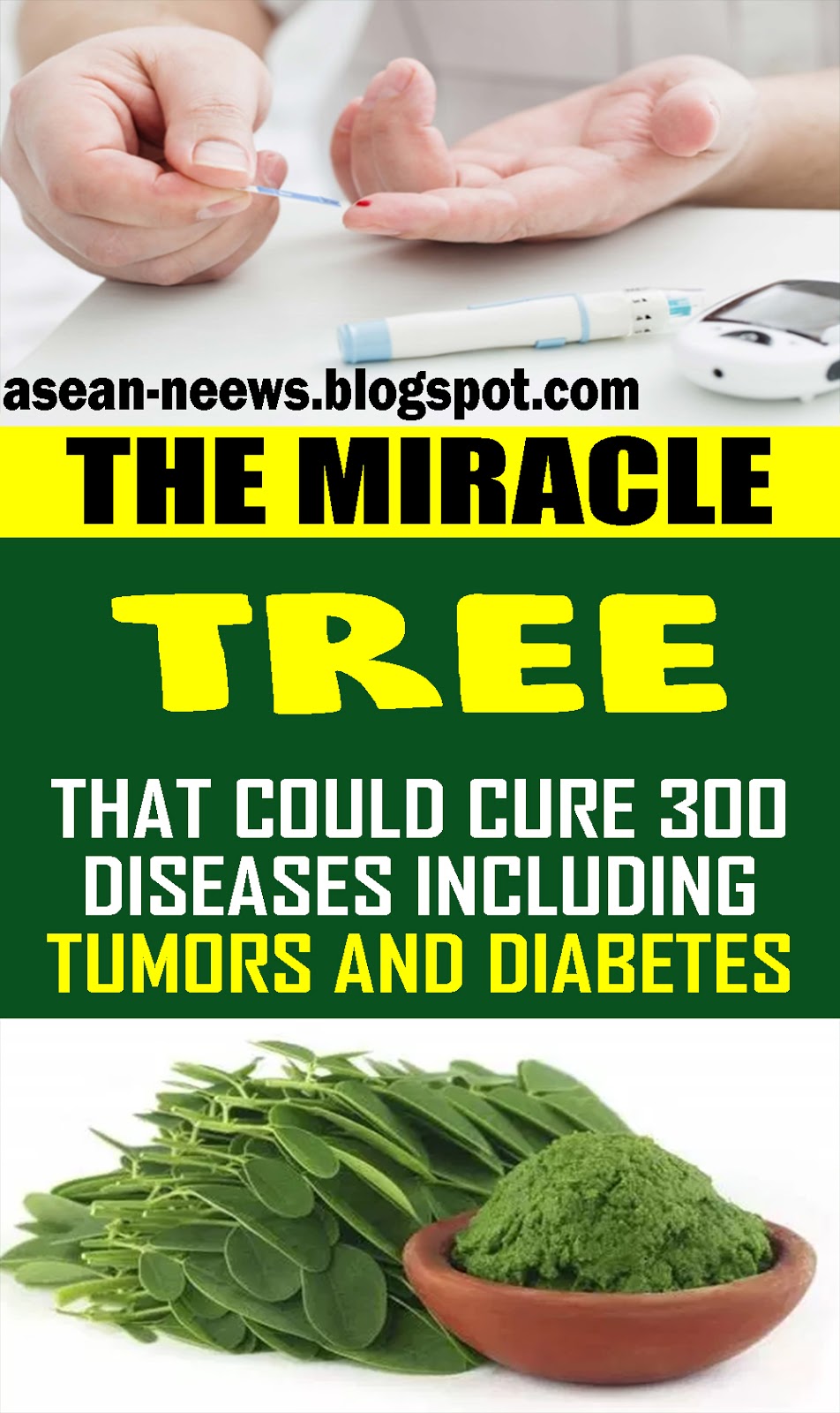 THIS TREE COULD CURE 300 DISEASES INCLUDING TUMORS AND DIABETES!