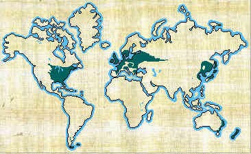 TRAVELING TO TEMPERATE DECIDUOUS FOREST: marzo 2015