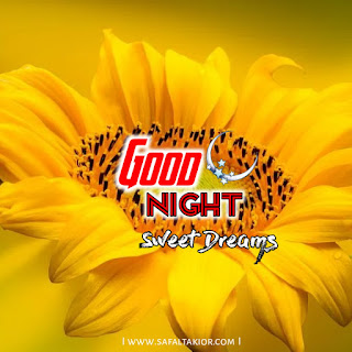 Good Night flower Images 