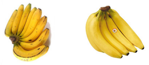 supervised dan unsupervised learning