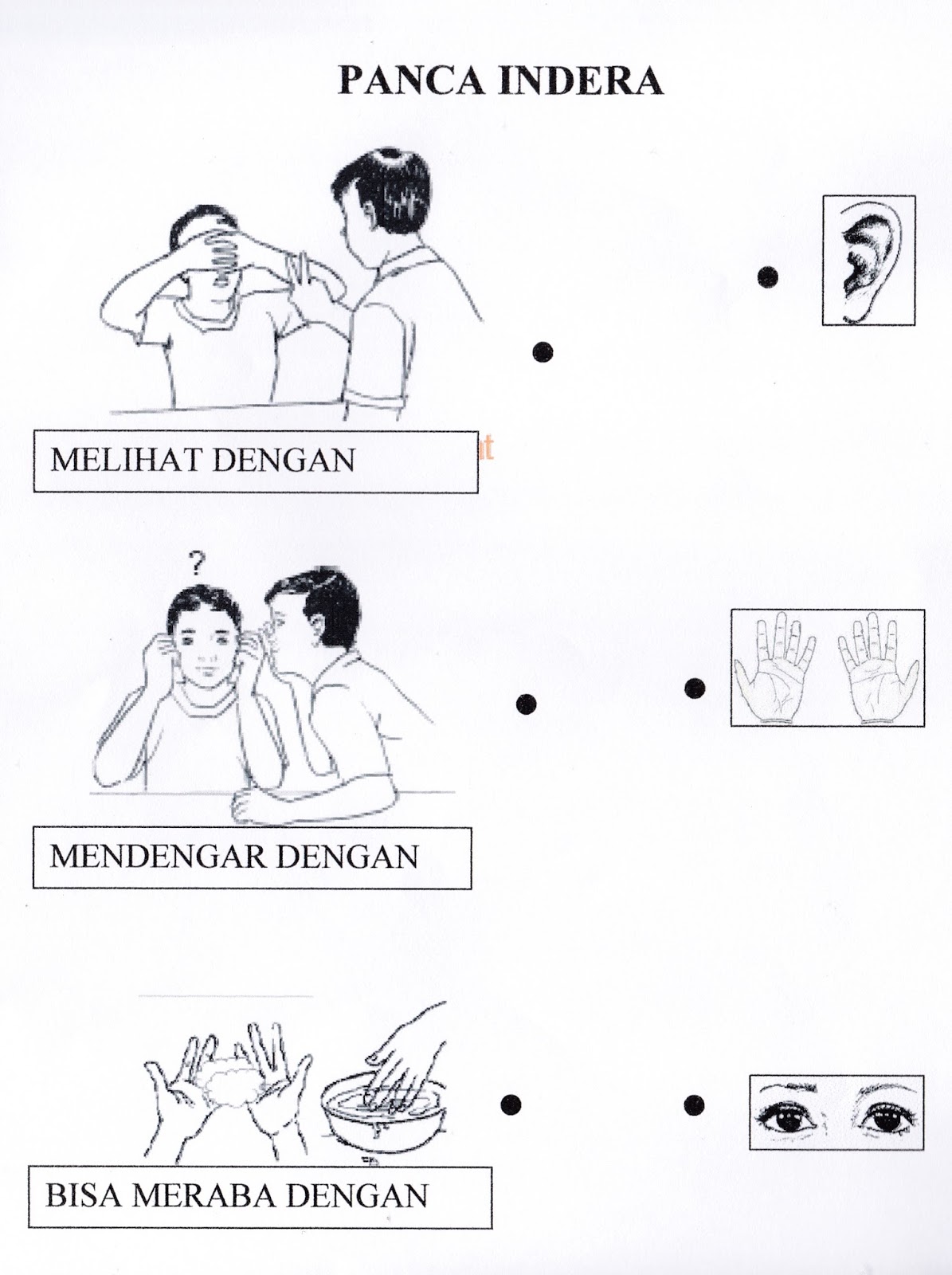 gambar mewarnai dengan tema warna kulit