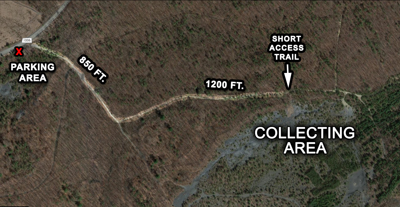 Rockhounding in the USA The Famous Fern Fossils of Pennsylvania