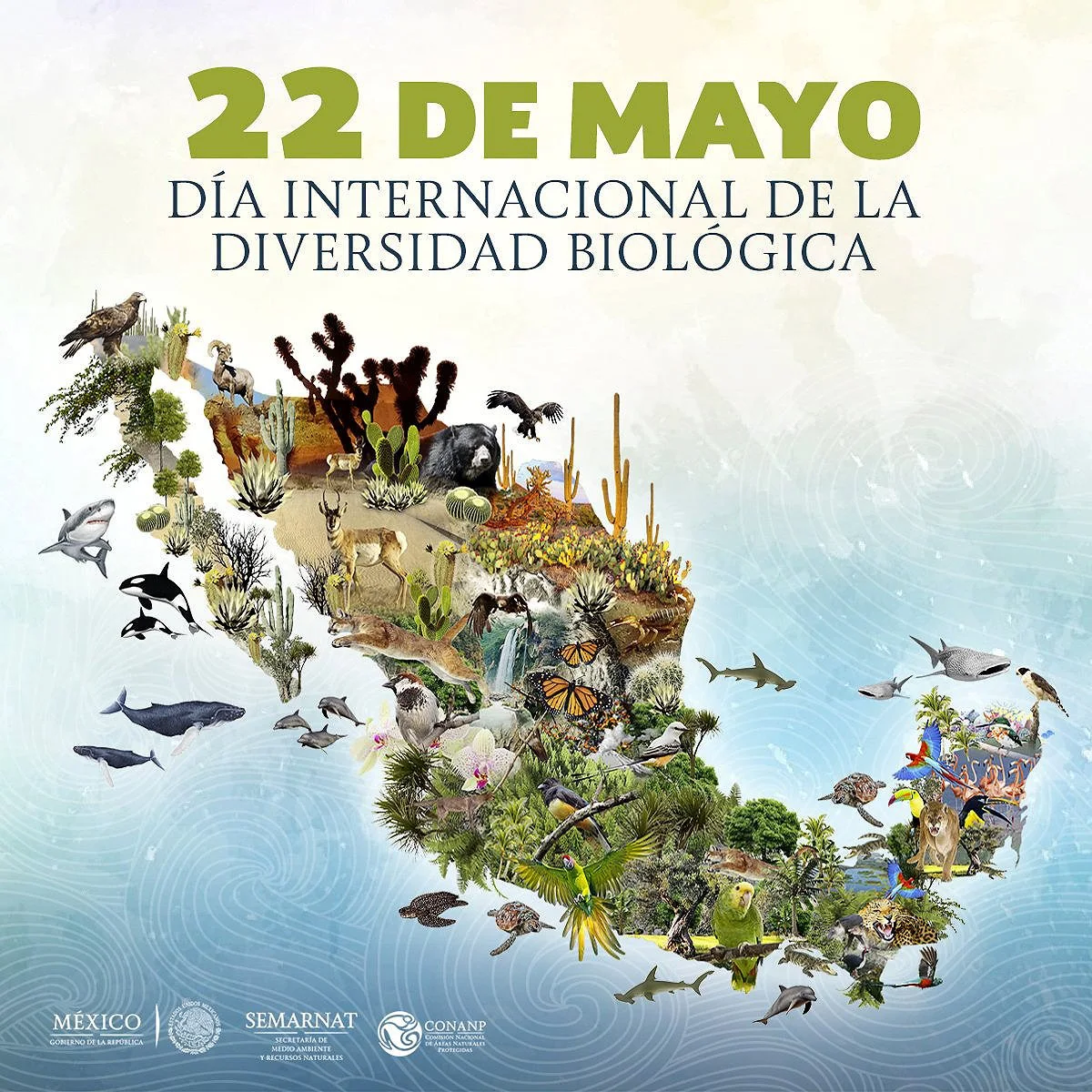 Biodiversity map of Mexico