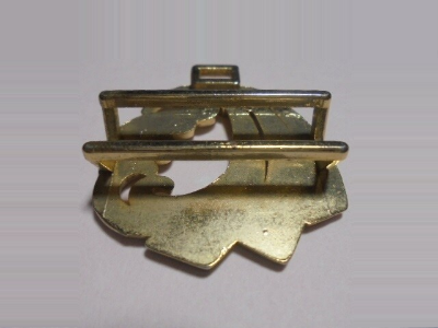 裏面片側面全体像