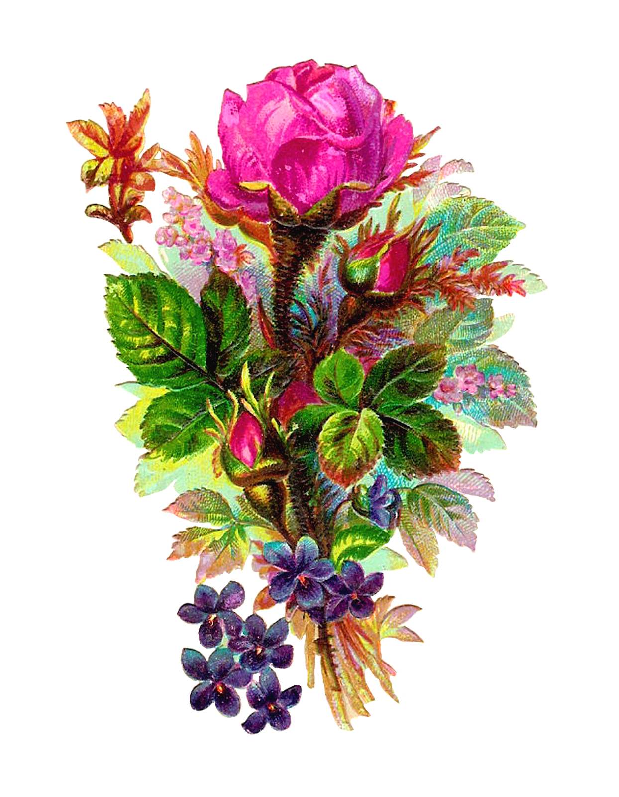 bouquet of roses clipart - photo #42
